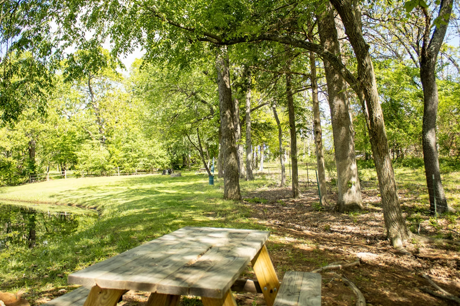 Ballards Campground and RV Park photo 2