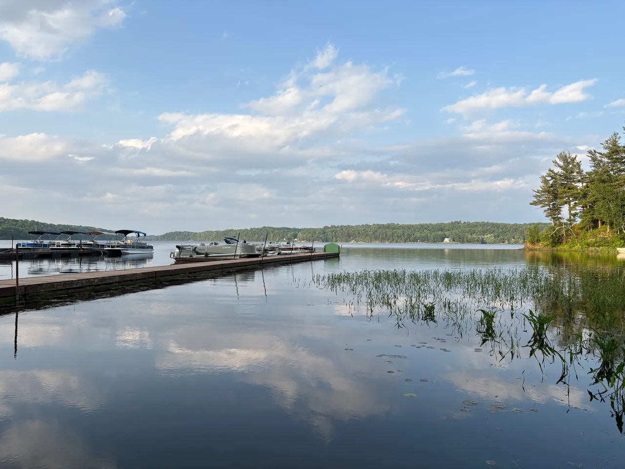 Back Bay Campground photo 5