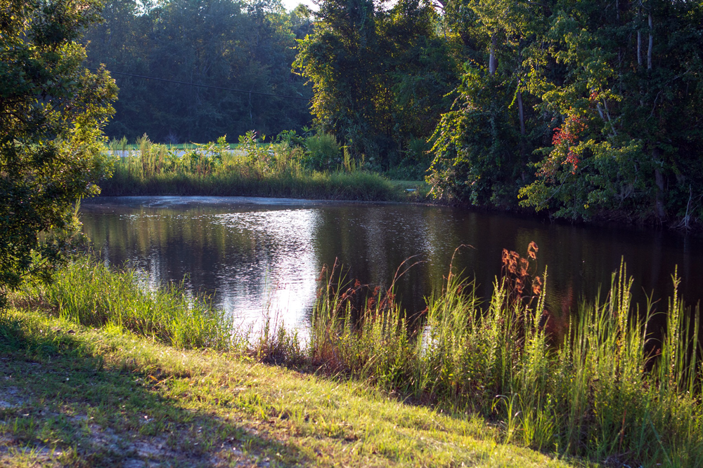 Jenny Ridge RV Park