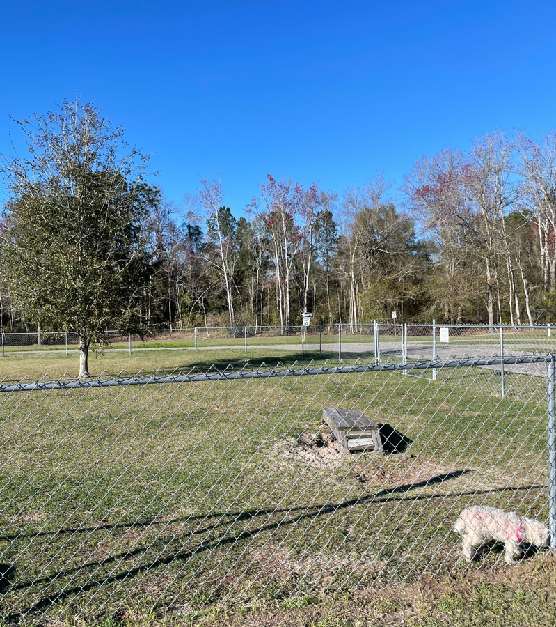 Jenny Ridge RV Park photo 6
