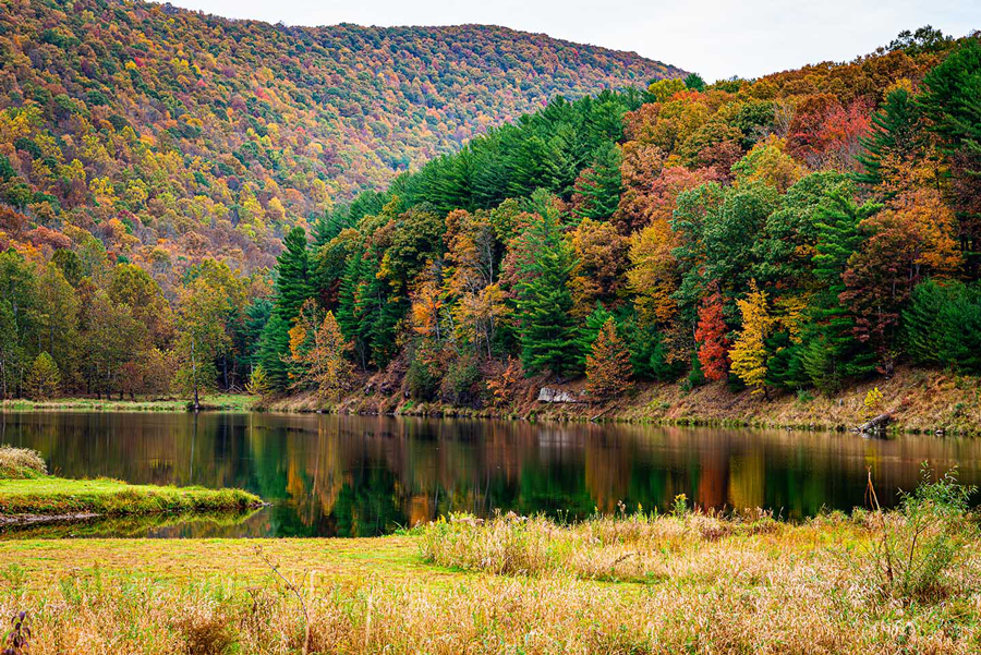 Yellow Creek Campground