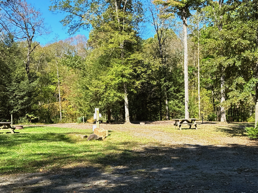 Yellow Creek Campground photo 2