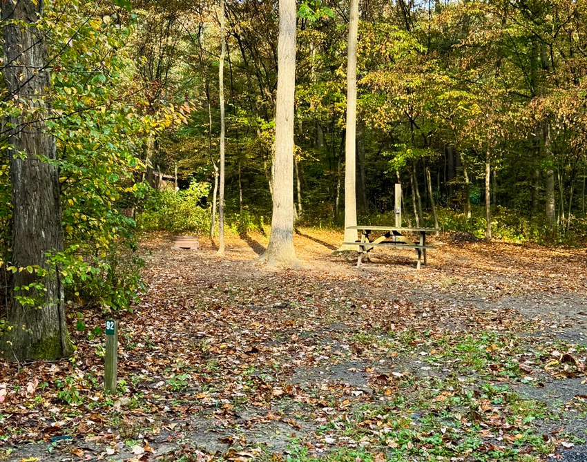Yellow Creek Campground photo 4