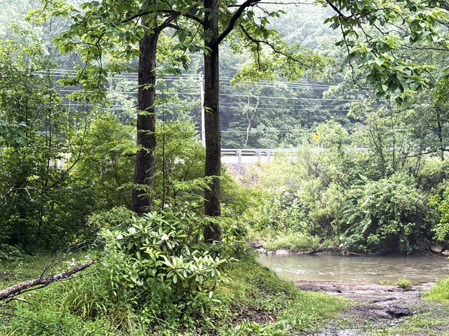 Yellow Creek Campground photo 6
