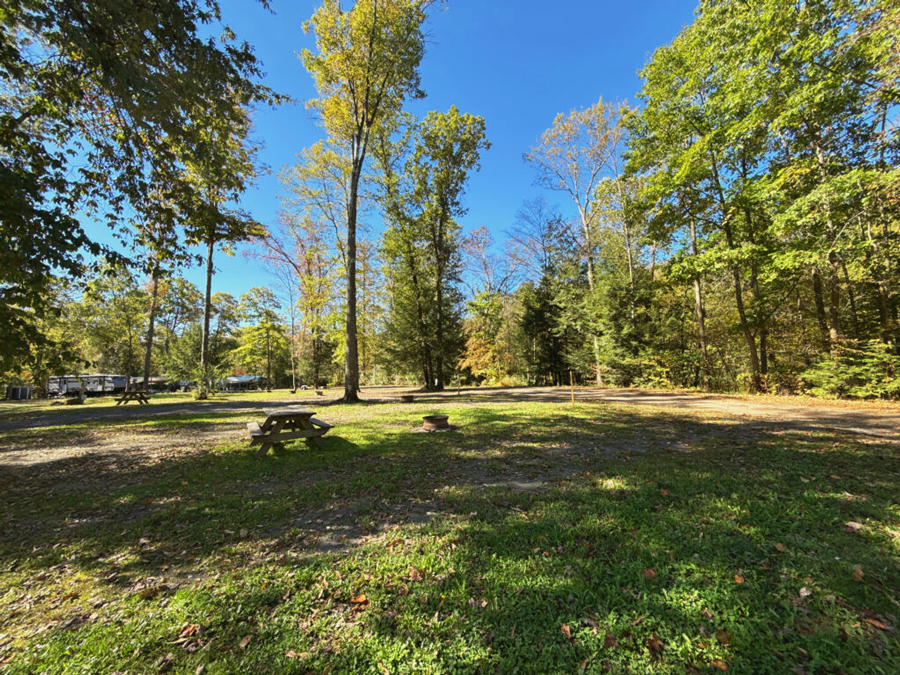 Yellow Creek Campground photo 8