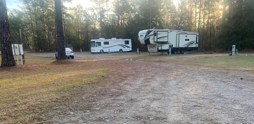 Tiny Woods Campground photo 5