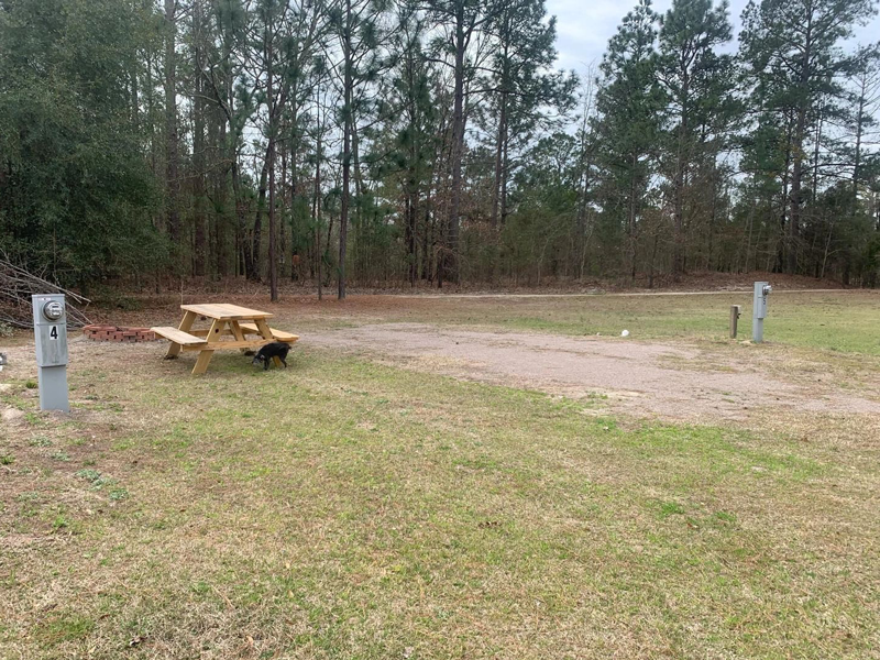 Tiny Woods Campground photo 9