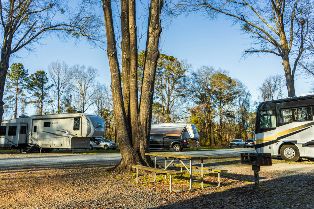 Cinnamon Creek RV Park photo 4