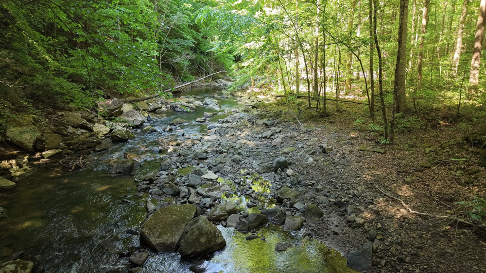 Stillwaters Creek Campground & Cabins photo 7
