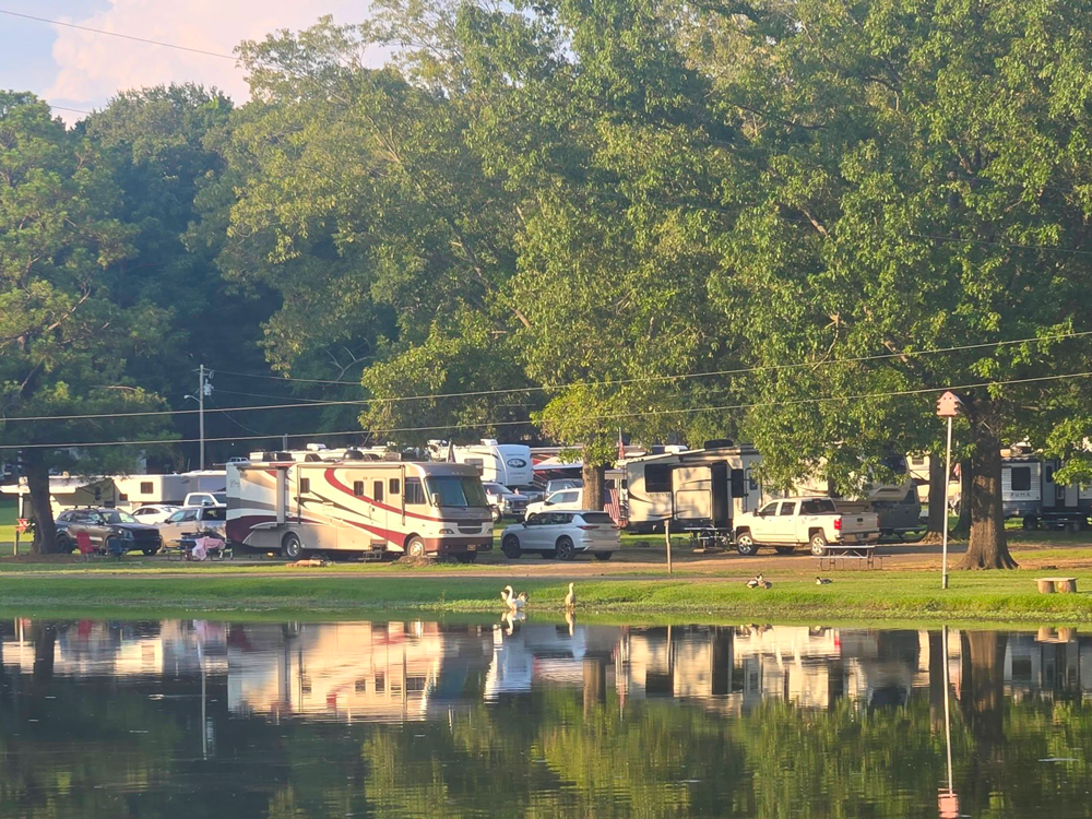 Askew's Landing RV Campground photo 7