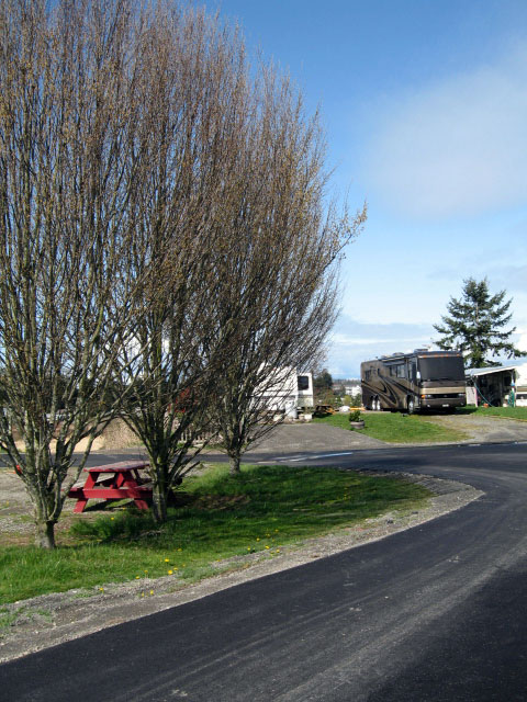 Lighthouse By The Bay RV Resort photo 3