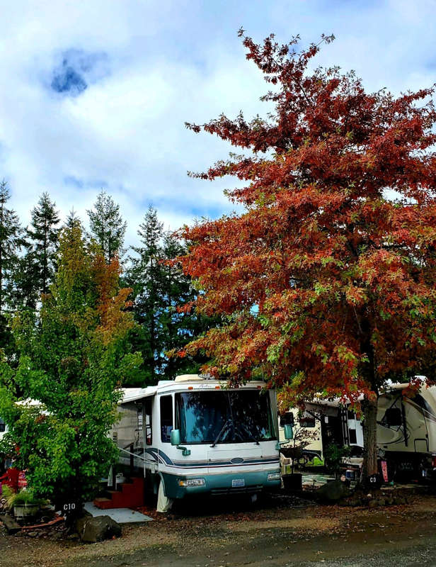 Elma RV Park photo 2