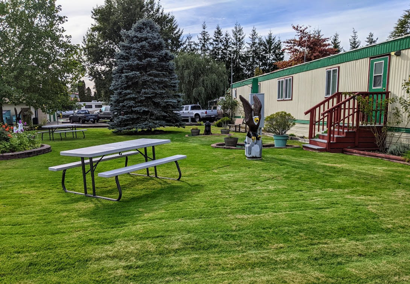 Elma RV Park photo 5
