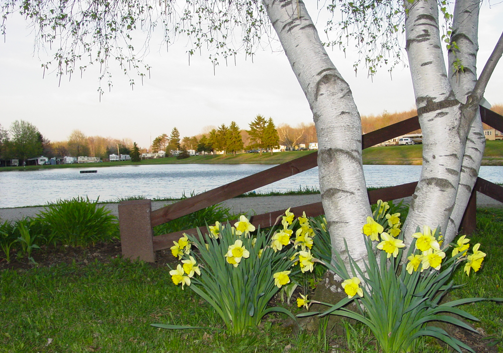 Evergreen Lake Park